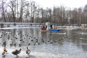 Специалисты ООО фирма ЦПП начали очистку водоема в Липецком Зоопарке